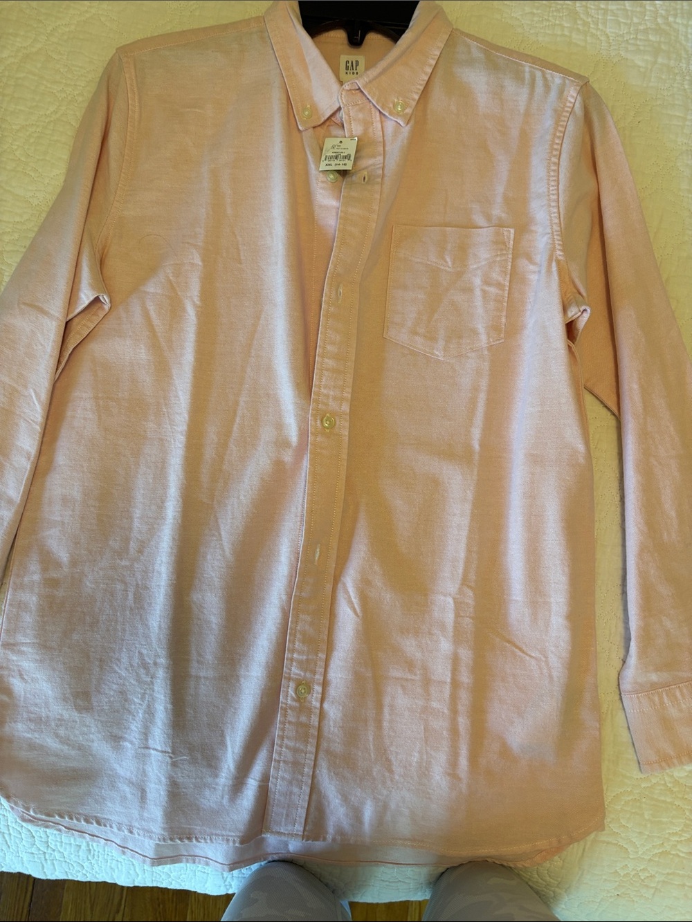 GAP Boys Light Pink Button-Down Shirt